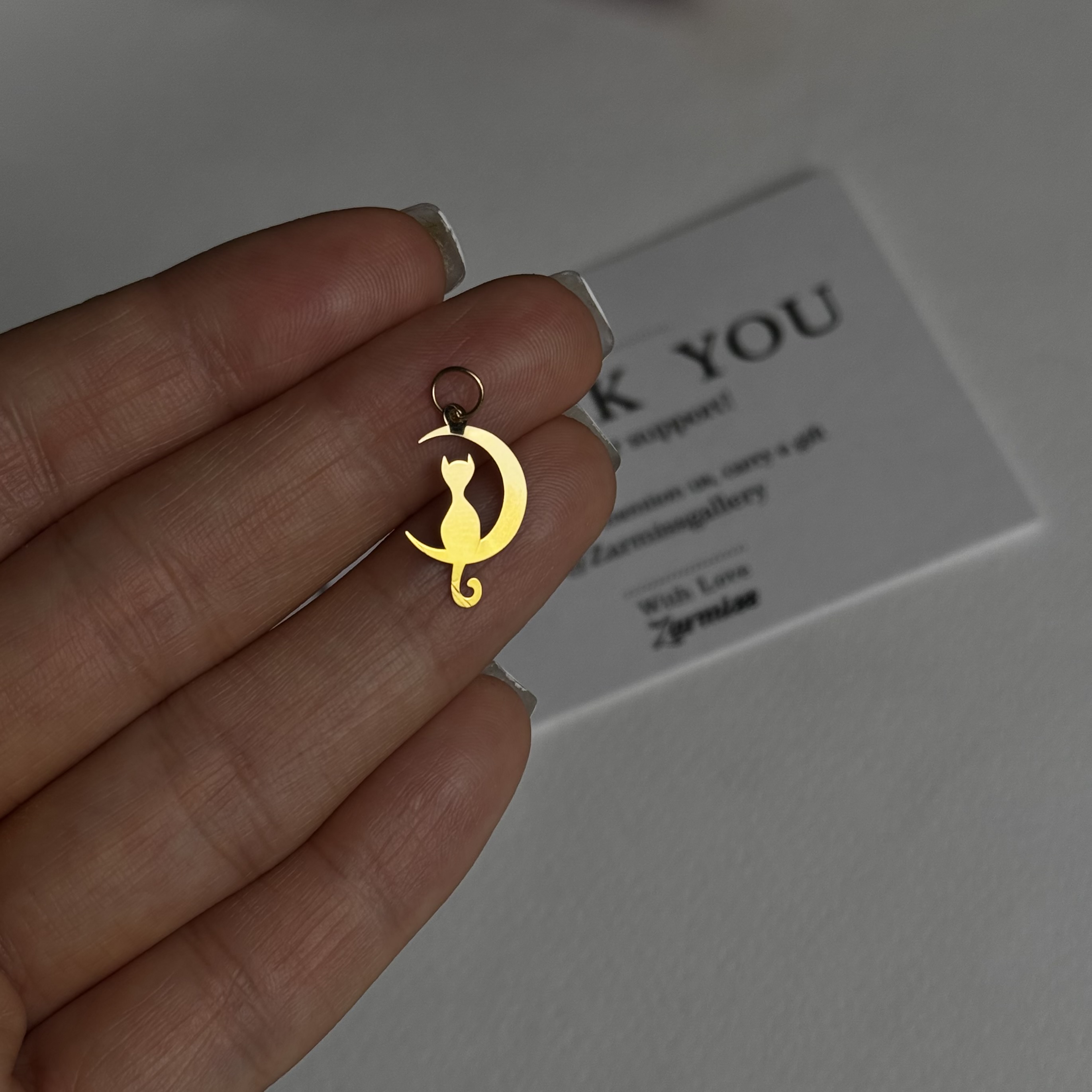 پلاک ماه و گربه0411